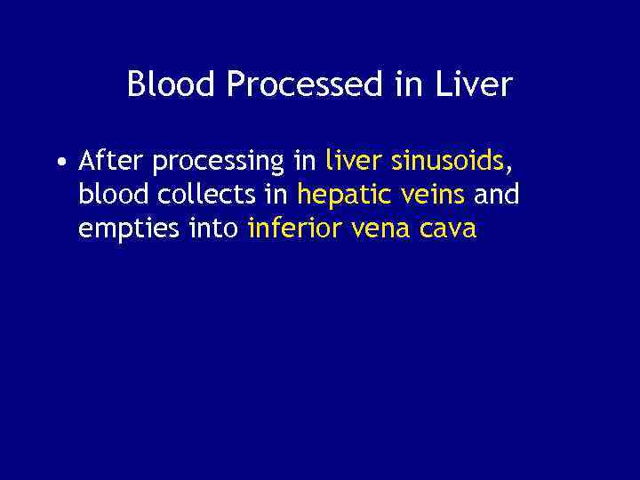Blood Processed in Liver • After processing in liver sinusoids, blood collects in hepatic