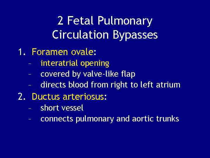 2 Fetal Pulmonary Circulation Bypasses 1. Foramen ovale: – – – interatrial opening covered