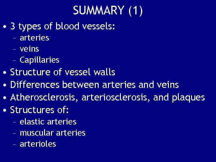 SUMMARY (1) • 3 types of blood vessels: – arteries – veins – Capillaries