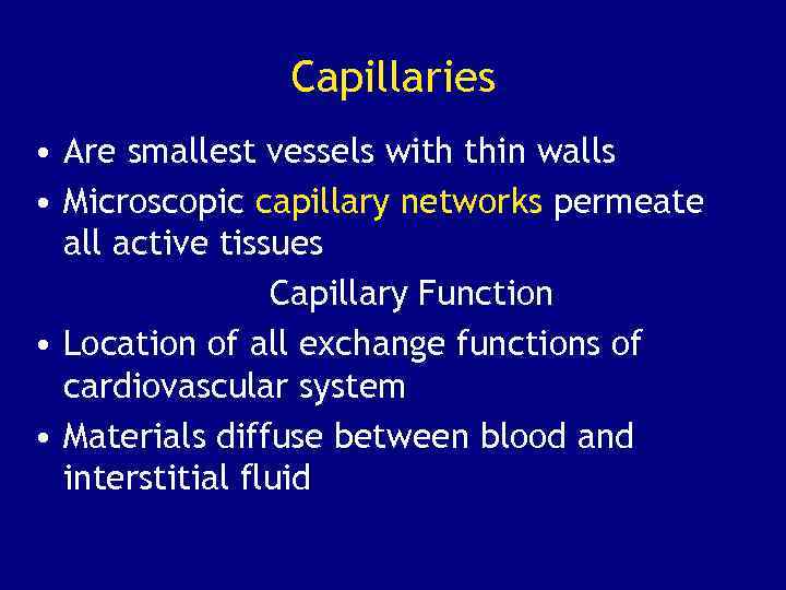 Capillaries • Are smallest vessels with thin walls • Microscopic capillary networks permeate all