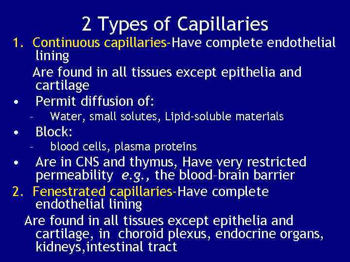 2 Types of Capillaries 1. Continuous capillaries-Have complete endothelial lining Are found in all