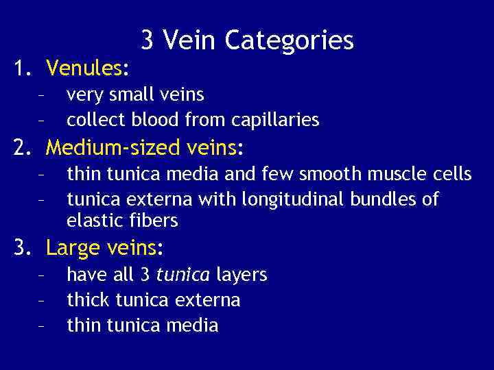 1. Venules: – – 3 Vein Categories very small veins collect blood from capillaries