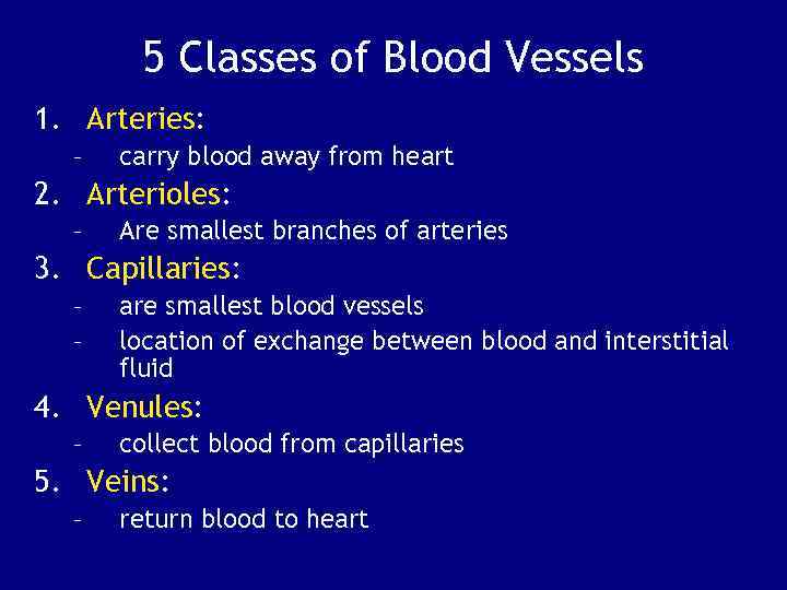 5 Classes of Blood Vessels 1. Arteries: – carry blood away from heart 2.