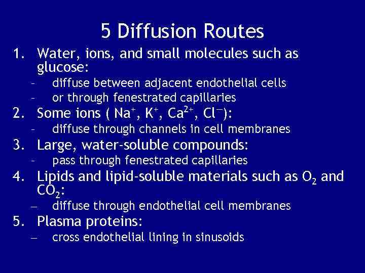 5 Diffusion Routes 1. Water, ions, and small molecules such as glucose: – –