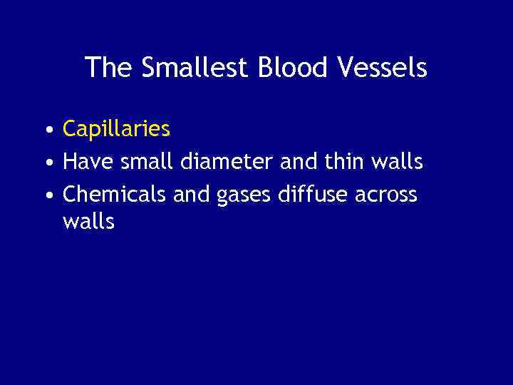The Smallest Blood Vessels • Capillaries • Have small diameter and thin walls •