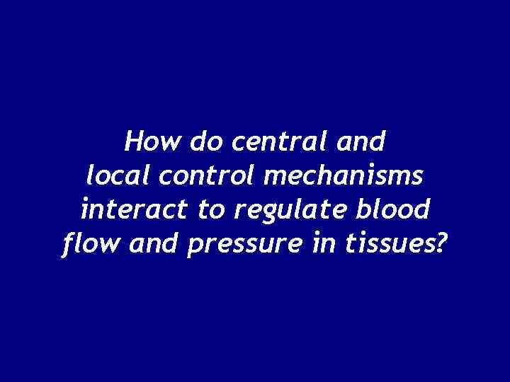 How do central and local control mechanisms interact to regulate blood flow and pressure