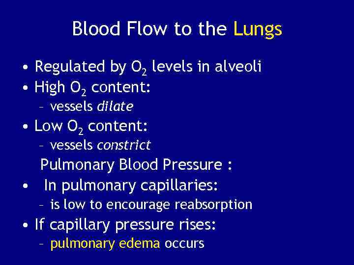 Blood Flow to the Lungs • Regulated by O 2 levels in alveoli •