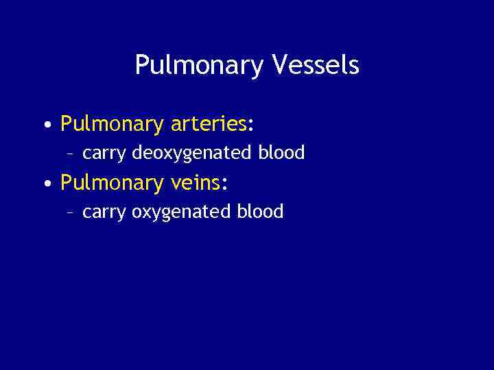 Pulmonary Vessels • Pulmonary arteries: – carry deoxygenated blood • Pulmonary veins: – carry
