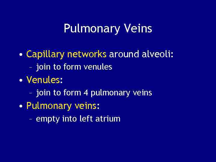 Pulmonary Veins • Capillary networks around alveoli: – join to form venules • Venules: