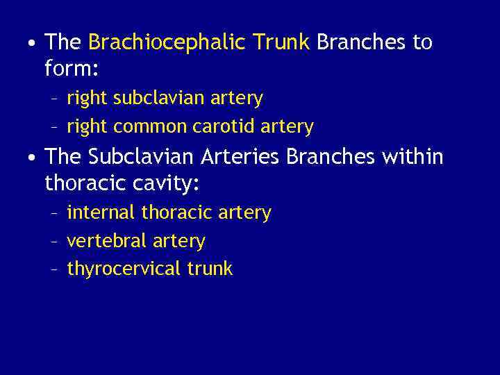  • The Brachiocephalic Trunk Branches to form: – right subclavian artery – right