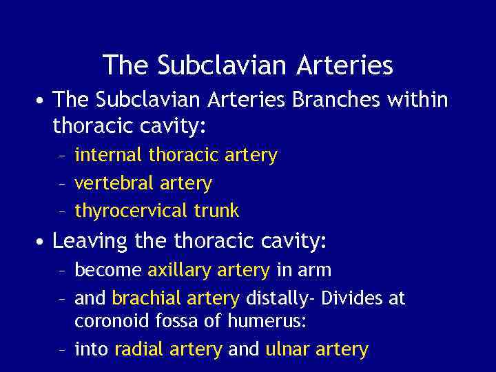 The Subclavian Arteries • The Subclavian Arteries Branches within thoracic cavity: – internal thoracic