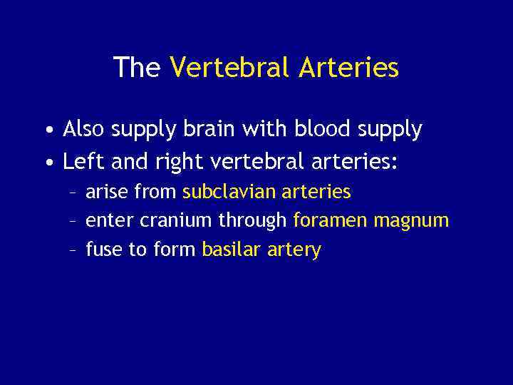 The Vertebral Arteries • Also supply brain with blood supply • Left and right