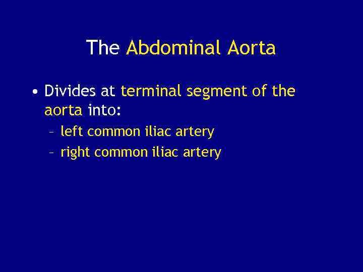 The Abdominal Aorta • Divides at terminal segment of the aorta into: – left