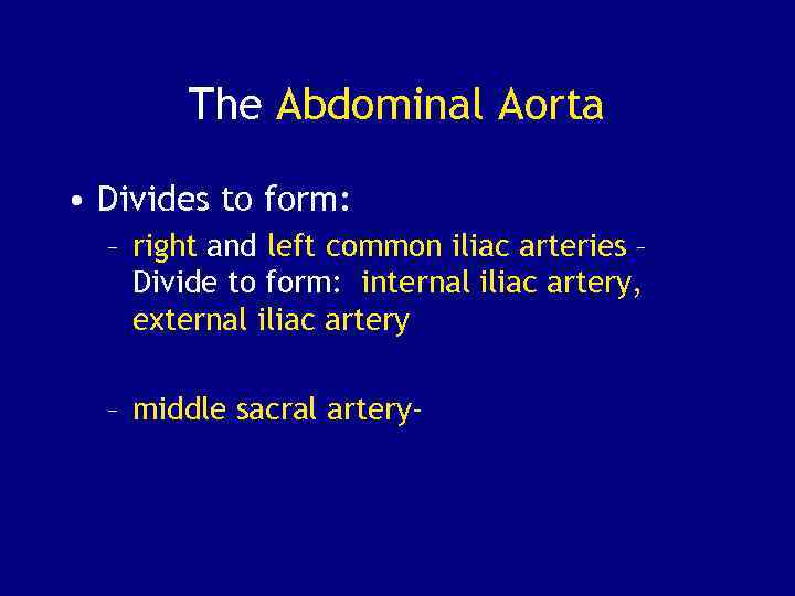 The Abdominal Aorta • Divides to form: – right and left common iliac arteries