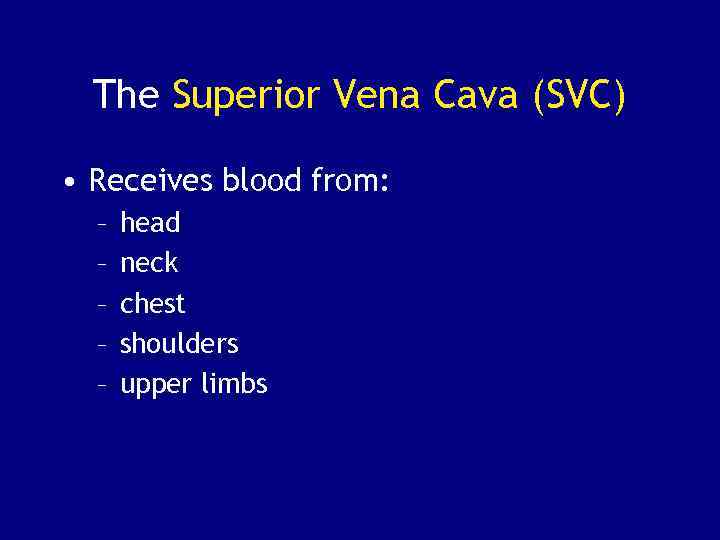 The Superior Vena Cava (SVC) • Receives blood from: – – – head neck