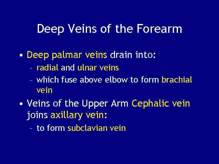 Deep Veins of the Forearm • Deep palmar veins drain into: – radial and