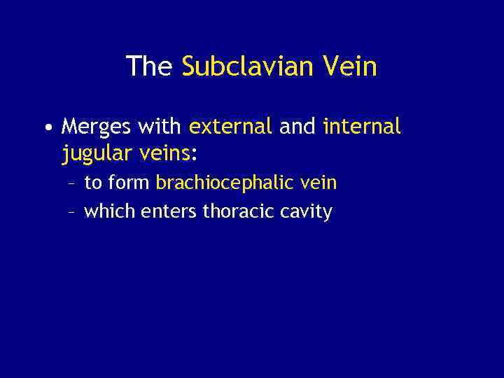 The Subclavian Vein • Merges with external and internal jugular veins: – to form