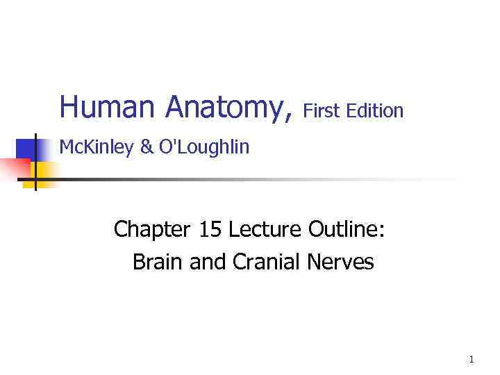 Human Anatomy, First Edition Mc. Kinley & O'Loughlin Chapter 15 Lecture Outline: Brain and