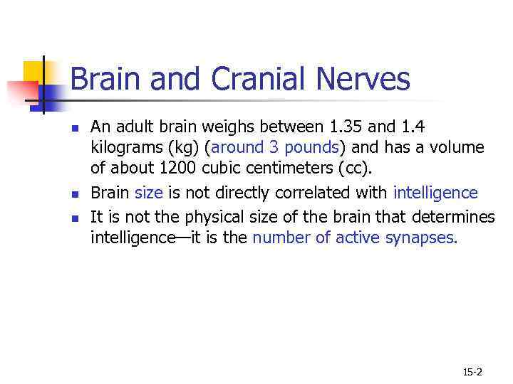 Brain and Cranial Nerves n n n An adult brain weighs between 1. 35