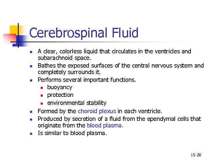 Cerebrospinal Fluid n n n A clear, colorless liquid that circulates in the ventricles