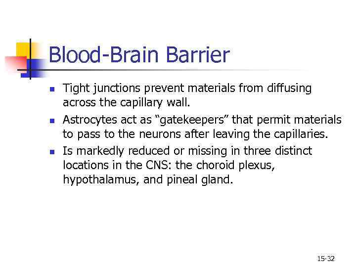 Blood-Brain Barrier n n n Tight junctions prevent materials from diffusing across the capillary