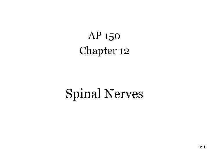 AP 150 Chapter 12 Spinal Nerves 12 -1 