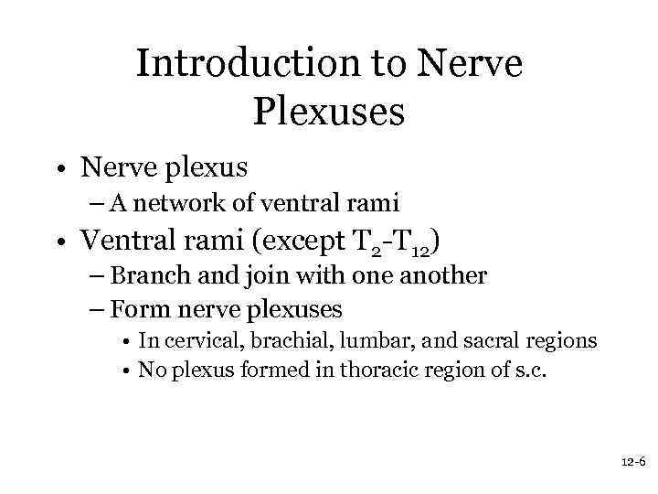 Introduction to Nerve Plexuses • Nerve plexus – A network of ventral rami •