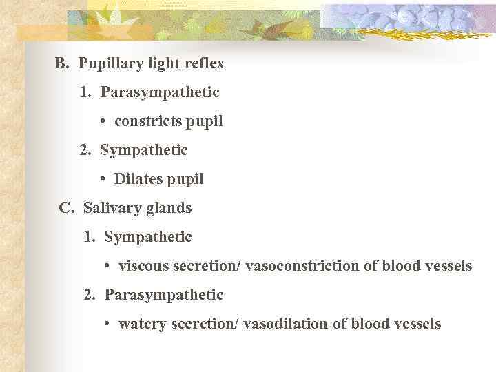 B. Pupillary light reflex 1. Parasympathetic • constricts pupil 2. Sympathetic • Dilates pupil