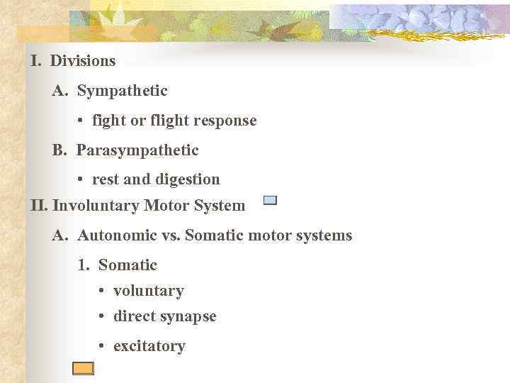 I. Divisions A. Sympathetic • fight or flight response B. Parasympathetic • rest and