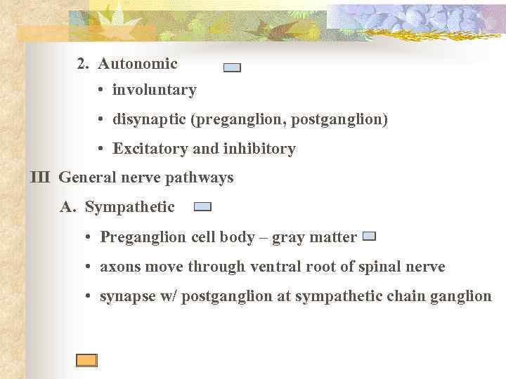 2. Autonomic • involuntary • disynaptic (preganglion, postganglion) • Excitatory and inhibitory III General