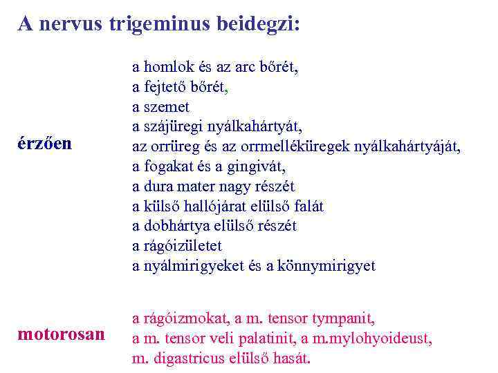 A nervus trigeminus beidegzi: érzően motorosan a homlok és az arc bőrét, a fejtető