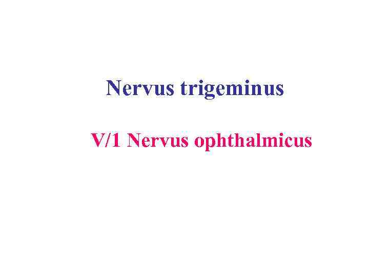 Nervus trigeminus V/1 Nervus ophthalmicus 