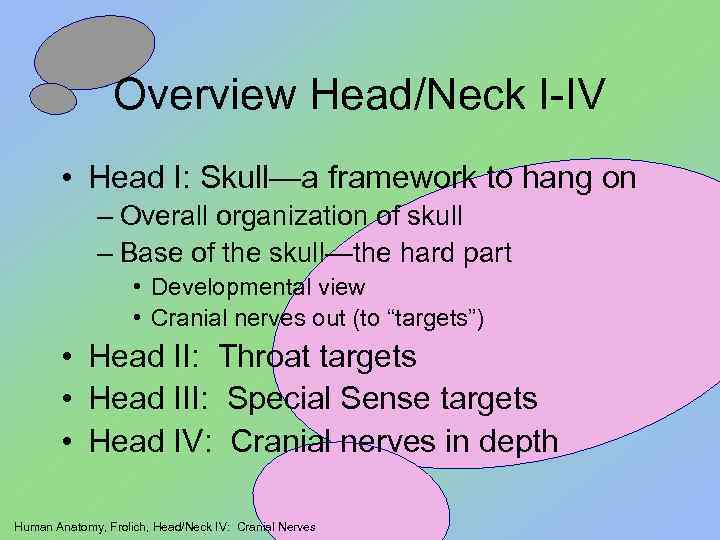 Overview Head/Neck I-IV • Head I: Skull—a framework to hang on – Overall organization