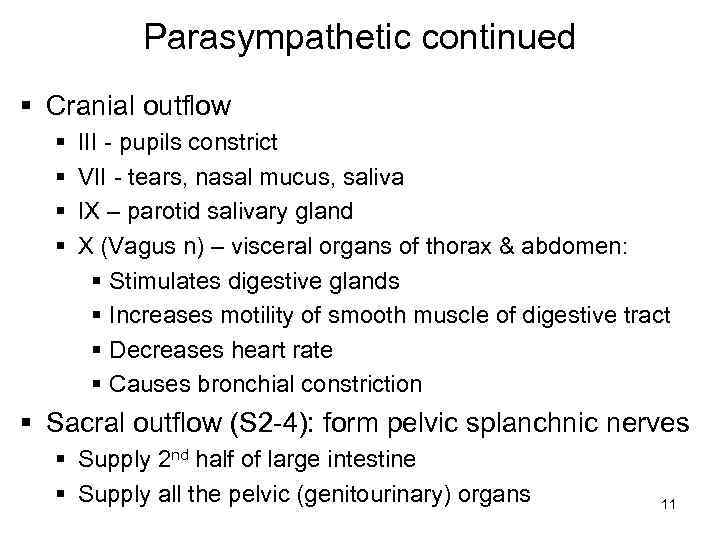 Parasympathetic continued § Cranial outflow § § III - pupils constrict VII - tears,