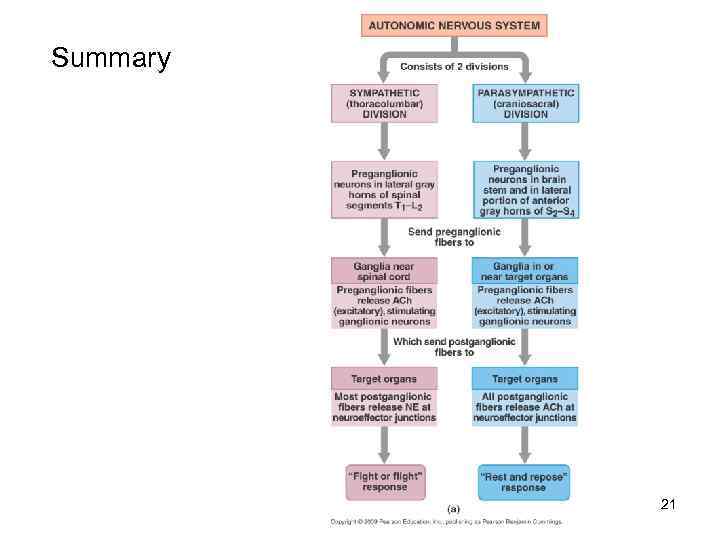 Summary 21 