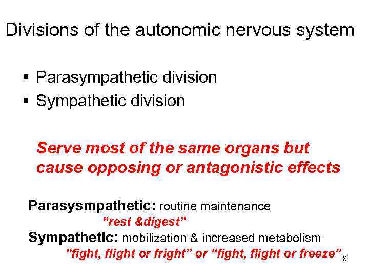 Divisions of the autonomic nervous system § Parasympathetic division § Sympathetic division Serve most