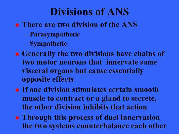Divisions of ANS n There are two division of the ANS – Parasympathetic –