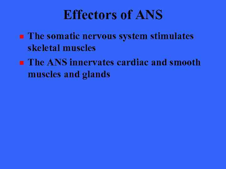 Effectors of ANS n n The somatic nervous system stimulates skeletal muscles The ANS