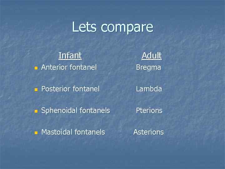 Lets compare Infant Adult n Anterior fontanel Bregma n Posterior fontanel Lambda n Sphenoidal