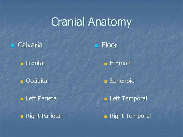 Cranial Anatomy n Calvaria n Floor n Frontal n Ethmoid n Occipital n Sphenoid