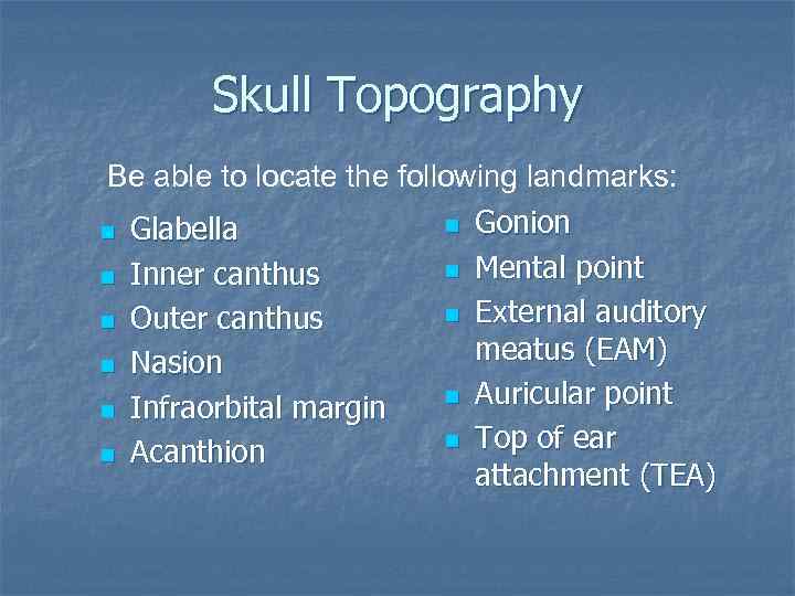 Skull Topography Be able to locate the following landmarks: n n n Glabella Inner