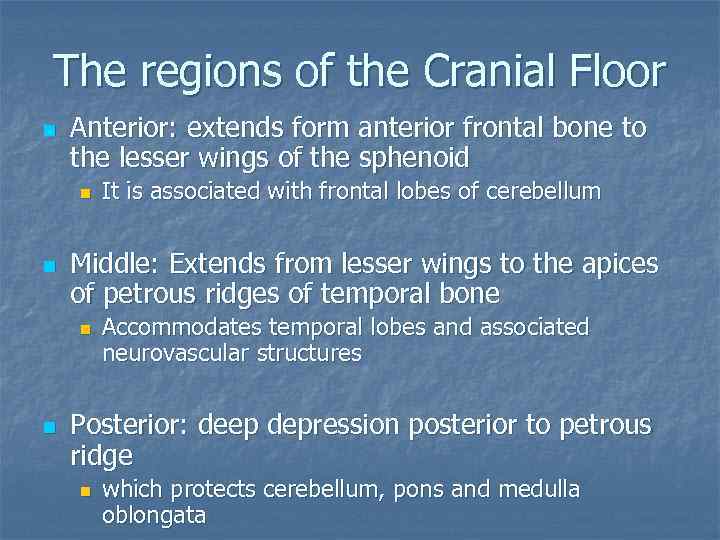 The regions of the Cranial Floor n Anterior: extends form anterior frontal bone to