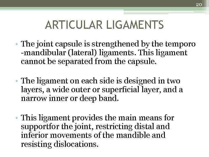 20 ARTICULAR LIGAMENTS • The joint capsule is strengthened by the temporo -mandibular (lateral)