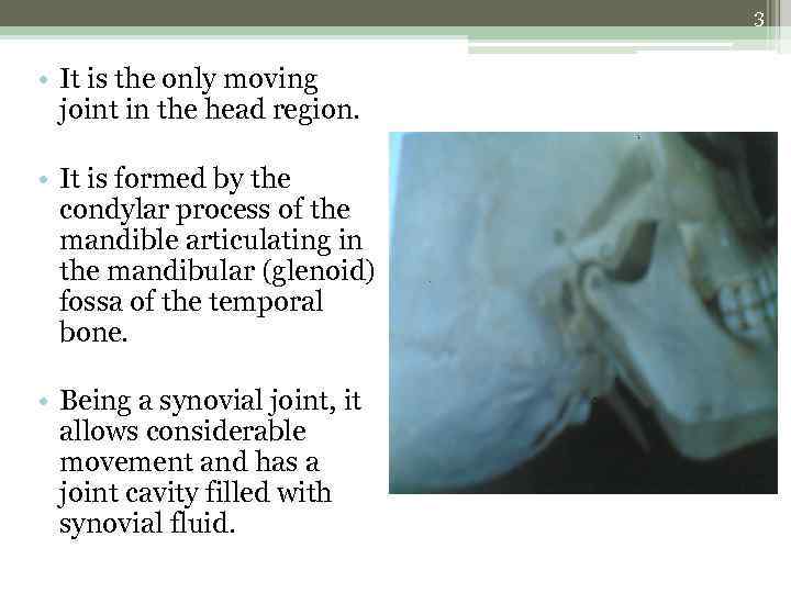 3 • It is the only moving joint in the head region. • It