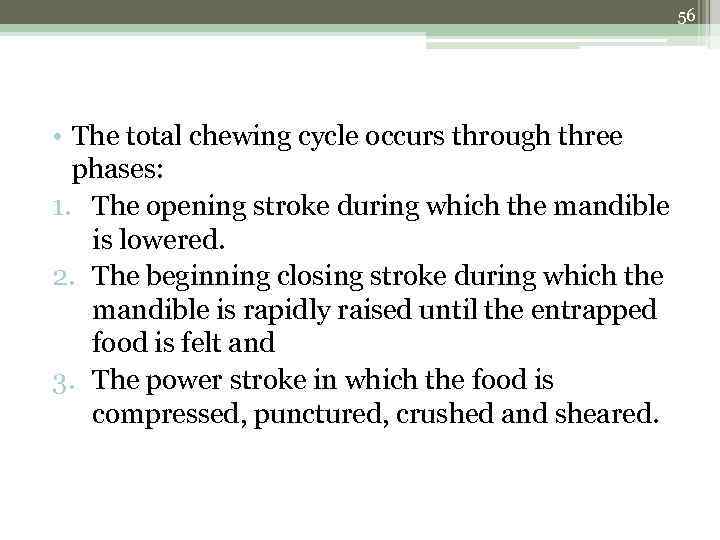 56 • The total chewing cycle occurs through three phases: 1. The opening stroke