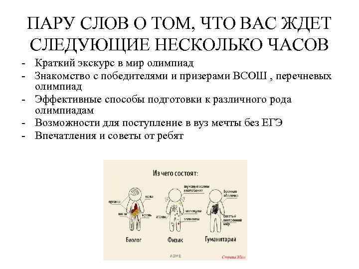 ПАРУ СЛОВ О ТОМ, ЧТО ВАС ЖДЕТ СЛЕДУЮЩИЕ НЕСКОЛЬКО ЧАСОВ - Краткий экскурс в