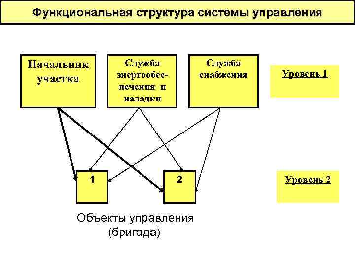 Структура системы состоит из. Схема функциональной структуры системы. Функционалтная структура систремы уп. Функциональные службы. Структуру функциональной системы письма.