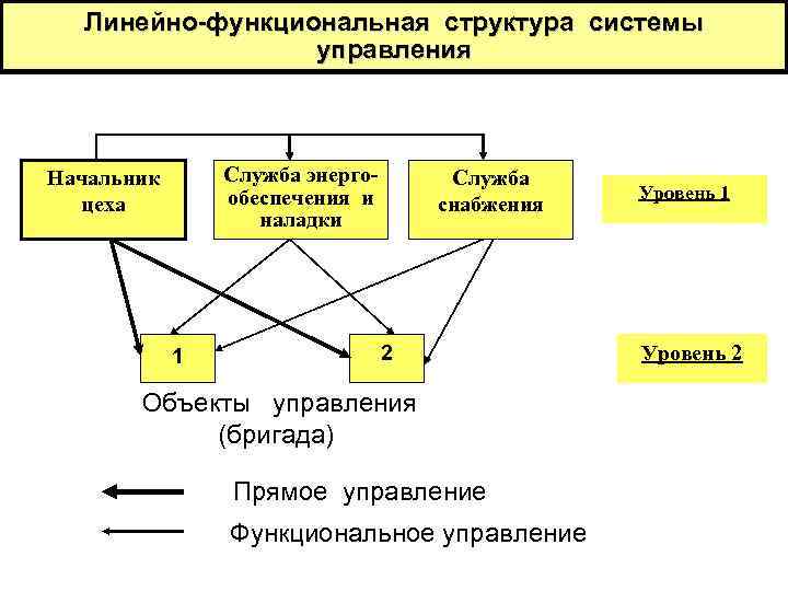 Функциональная структура системы. Функционально линейная система управления. Линейно-функциональную структуру системы управления. Линейно-функциональная система управления. Линейно функциональная система управления схема.