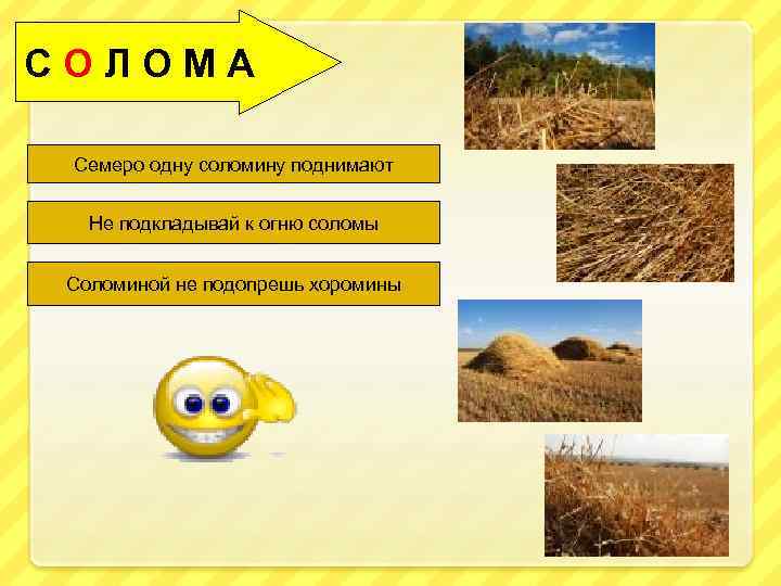 СОЛОМА Семеро одну соломину поднимают Не подкладывай к огню соломы Соломиной не подопрешь хоромины