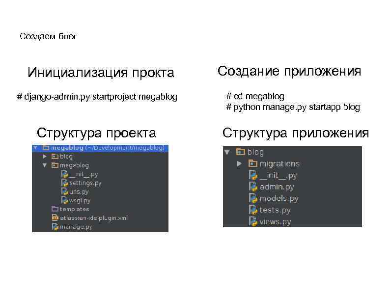 Бд пайтон. Структура Пайтон. Структура программы Пайтон. Структура питона. Структура Python.